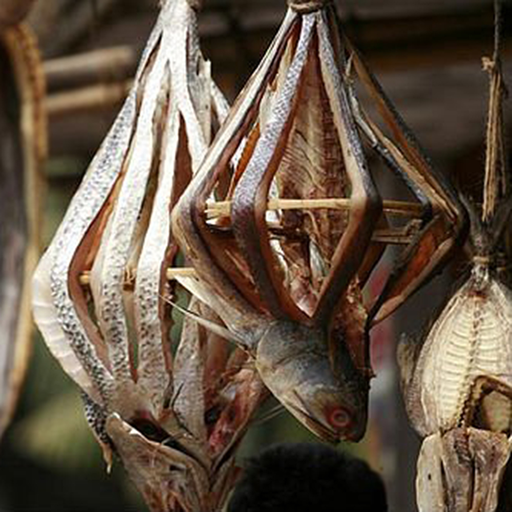 Dried Fish | Majestic Enterprise (Pvt.) Ltd.
