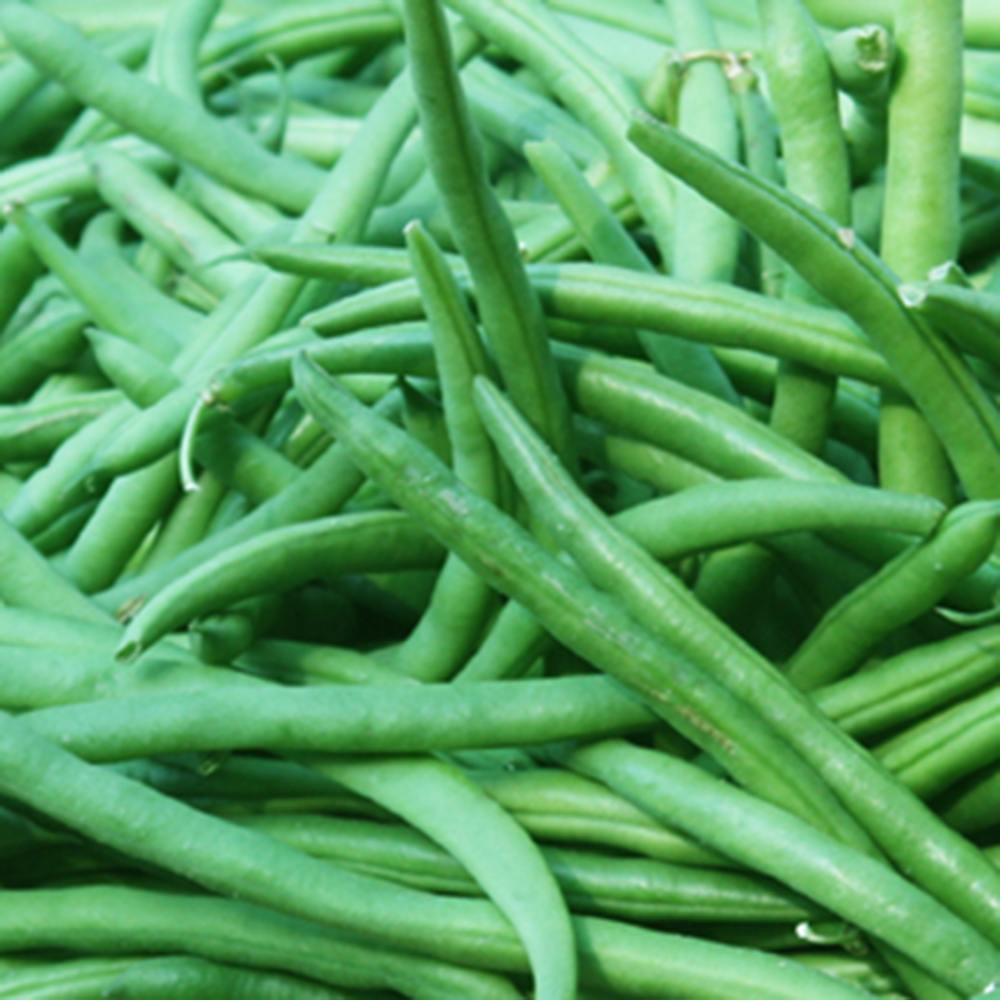 Vegetables | Majestic Enterprise (Pvt.) Ltd.
